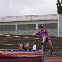 IMG 4456